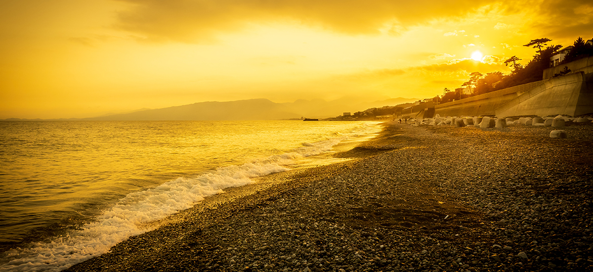 let`s do It コンサルタントが安心・確実・迅速・不動産のアドバイス1