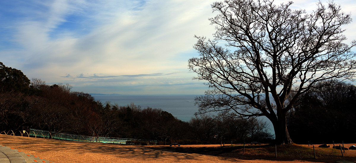 let`s do It コンサルタントが安心・確実・迅速・不動産のアドバイス2