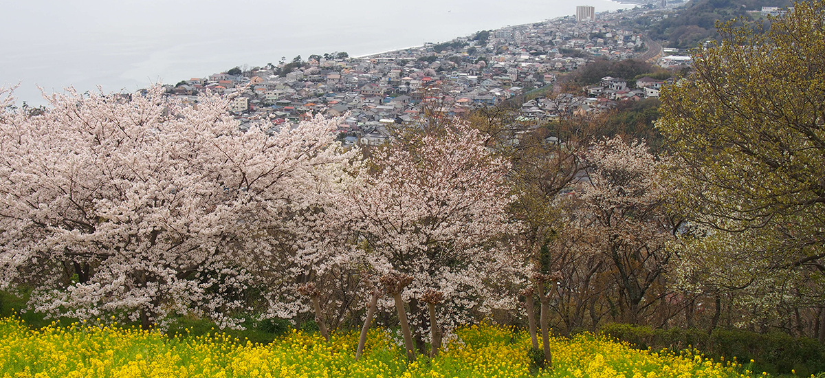 let`s do It コンサルタントが安心・確実・迅速・不動産のアドバイス3